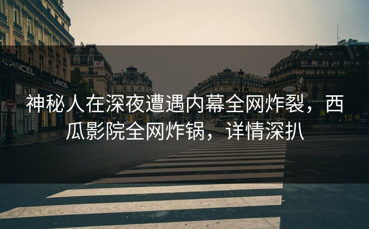 神秘人在深夜遭遇内幕全网炸裂，西瓜影院全网炸锅，详情深扒