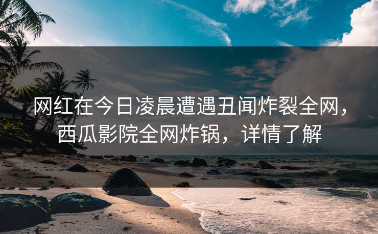网红在今日凌晨遭遇丑闻炸裂全网，西瓜影院全网炸锅，详情了解